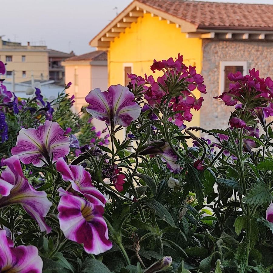 Lovely Casa Paola Villlafranca Centro Zimmer Rooms Виллафранка-ди-Верона Экстерьер фото